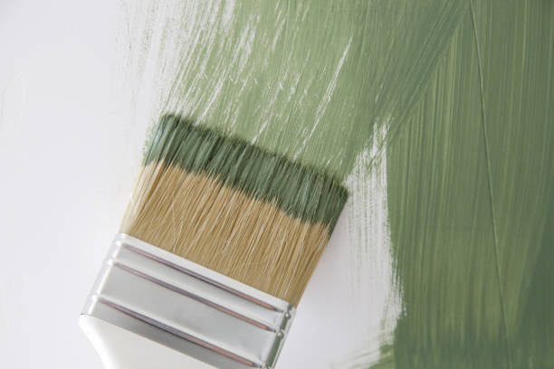 Best Mold Documentation for Insurance Claims  in Hudson Falls, NY