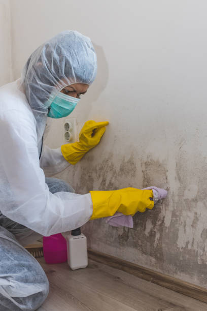Mold Removal for HVAC Installations in Hudson Falls, NY