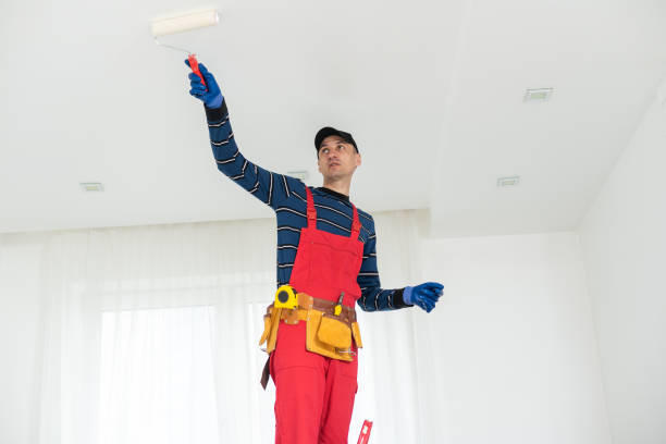 Best Post-Construction Mold Inspection  in Hudson Falls, NY