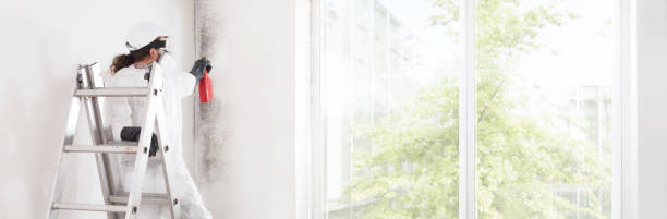Mold Odor Removal Services in Hudson Falls, NY