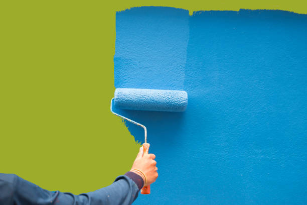 Best Basement Mold Removal  in Hudson Falls, NY